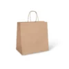 Large Paper Twist Handle Bag - 305x305x175
