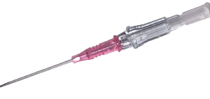 BD Insyte IV Catheter 20G X 30mm Pink Each