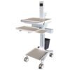 Computer Workstation Trolley With Printer Shelf