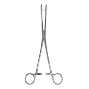 Armo Foerster Sponge Forceps 25cm - Each