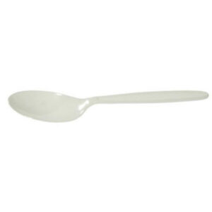 Capri Regular Plastic Teaspoon - Carton of 4000
