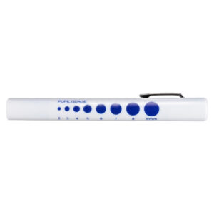 Torch Penlight Disposable - Each